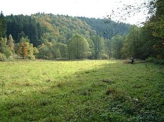 Feuchtgr&uuml;nland in Meinerzhagen Aggertal, talab, &copy; FNMK 2004