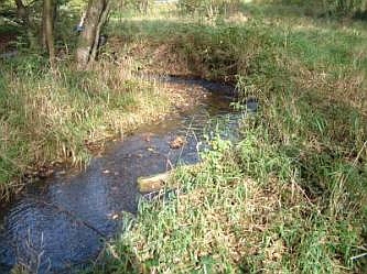 Die Agger als begleitender Bach, &copy; FNMK 2004
