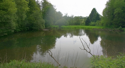 Sch&uuml;tteich Berkerm&uuml;hle, &copy; FNMK 2010