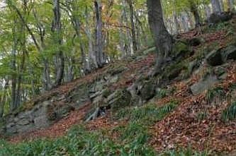 Typische Felsformation mit typischer Vegetation, &copy; FNMK 2004