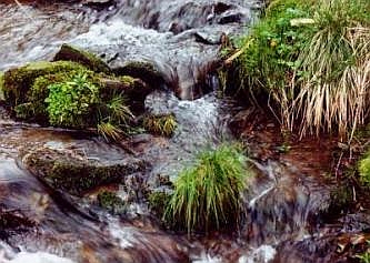Ausschnitt der jungen Lister in Willertshagen, &copy; FNMK 2004